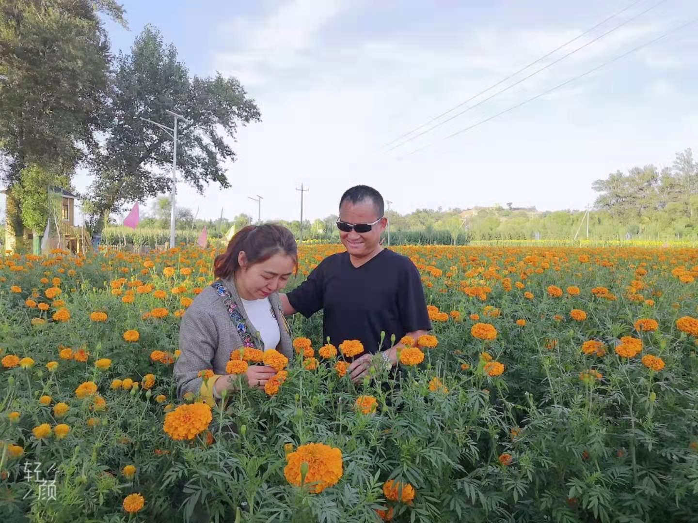 mg冰球突破·豪华版(试玩)官网首页